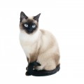 Siamese